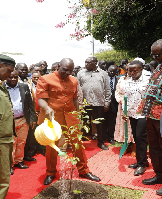 President William Ruto plants a commemorative tree at SonySugar Guest House Grounds during a visit to the Company on 8th October 2023.  